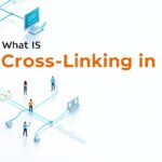 What Is Cross Linking in SEO